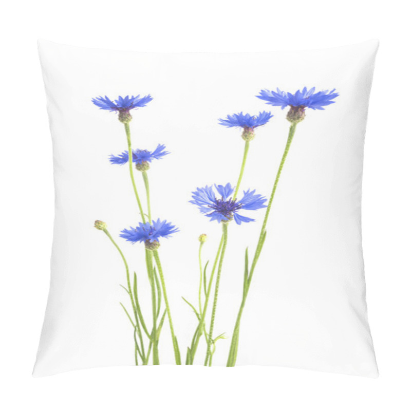 Personality  Beautiful Blue Cornflowers Pillow Covers