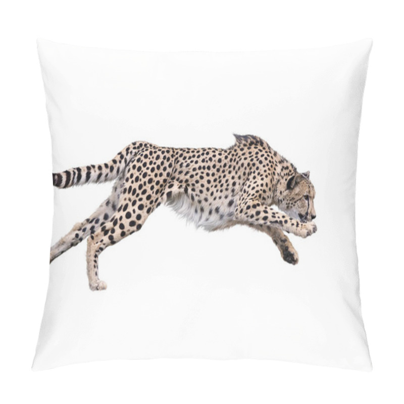 Personality  Cheetah Running ,Isolated On White Background Pillow Covers