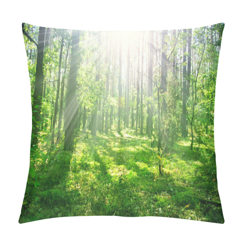 Personality  Misty Old Forest Pillow Covers