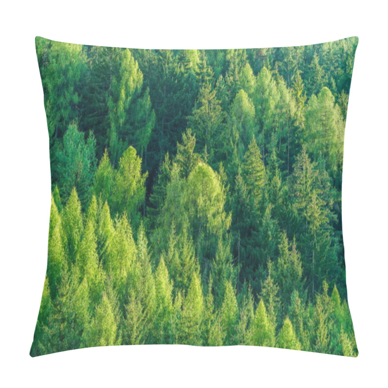 Personality  Green Forest Of Fir And Pine Trees Landscape Background In The Wilderness Nature Area. Concept Of Sustainable Natural Resources, Healthy Environment And Ecology. Pillow Covers