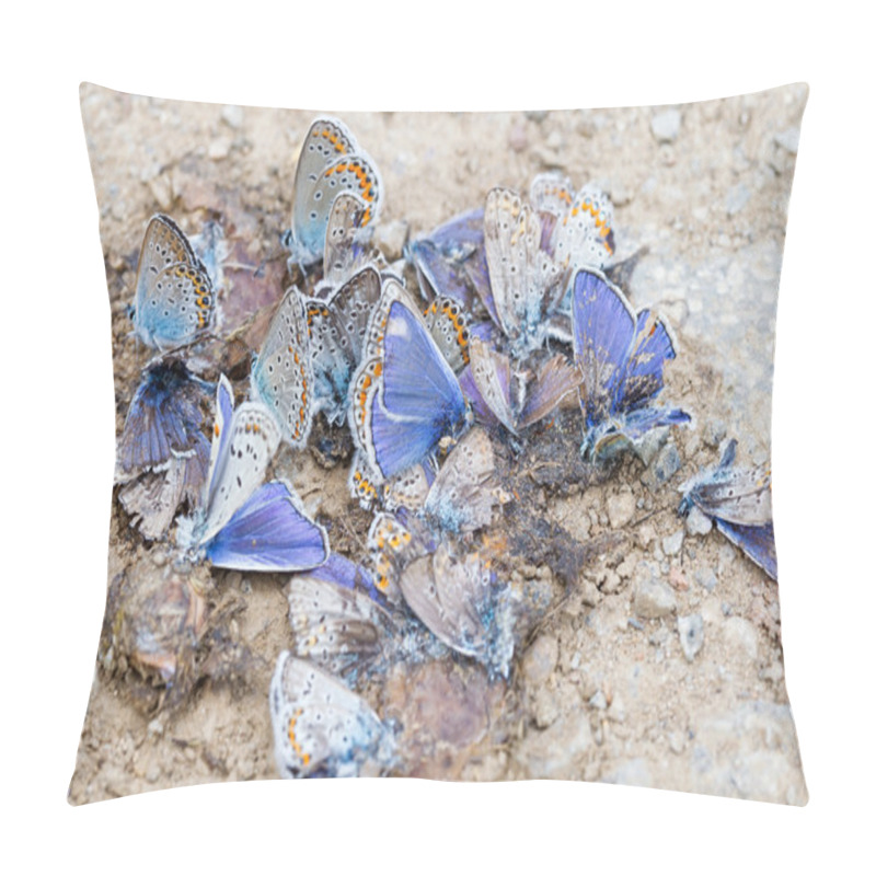 Personality  Destroyed Butterfly Family Pillow Covers