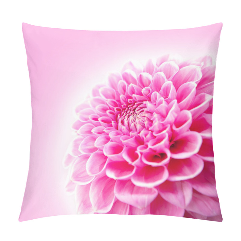 Personality  Pink Chrysanthemum Flower Isolated On White Background. Pillow Covers