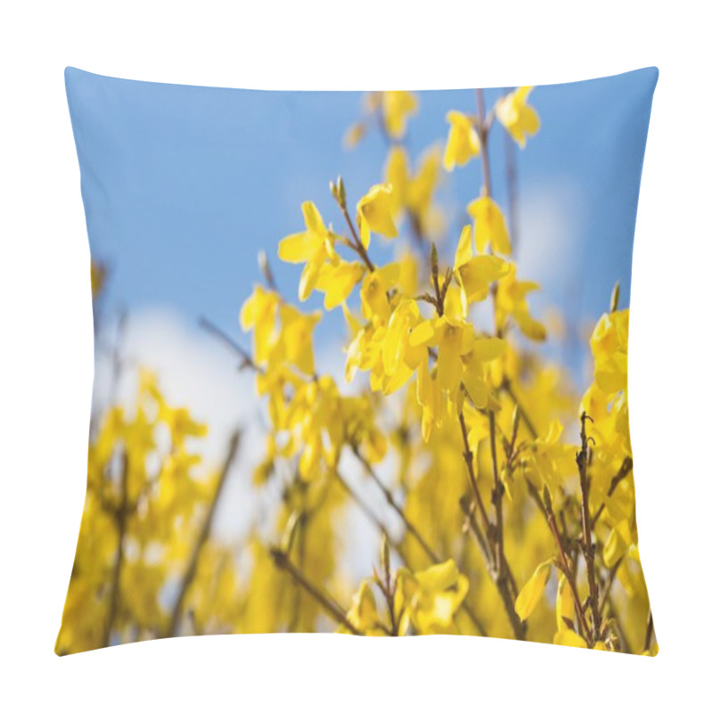 Personality  Blooming Forsythia Bush Pillow Covers