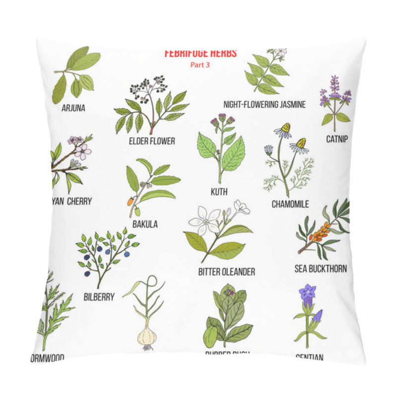 Personality  Febrifuge Herbs Collection. Part 3 Pillow Covers