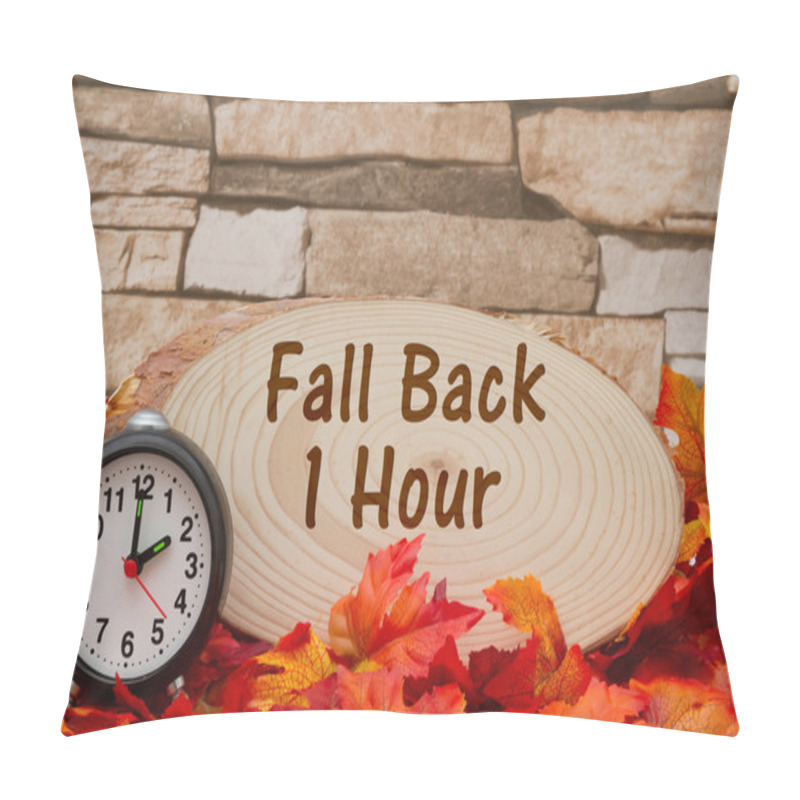 Personality  Daylight Savings Time Message Pillow Covers