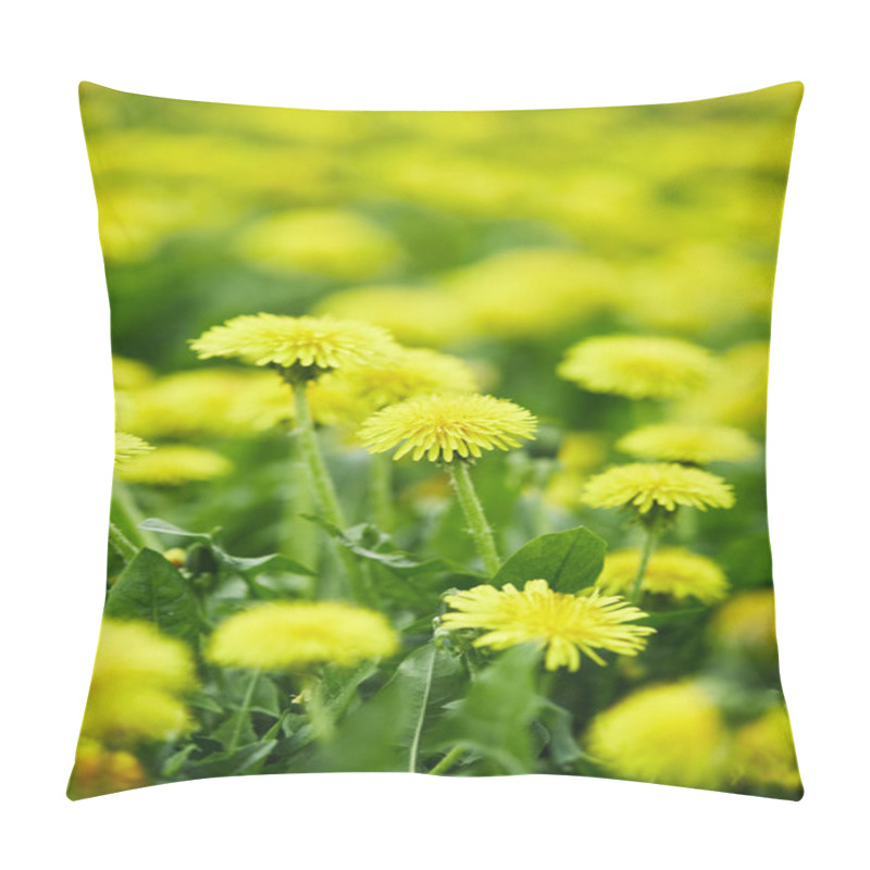 Personality  Close-up Shot Of Yellow Dandelion Flowers On Meadow Pillow Covers