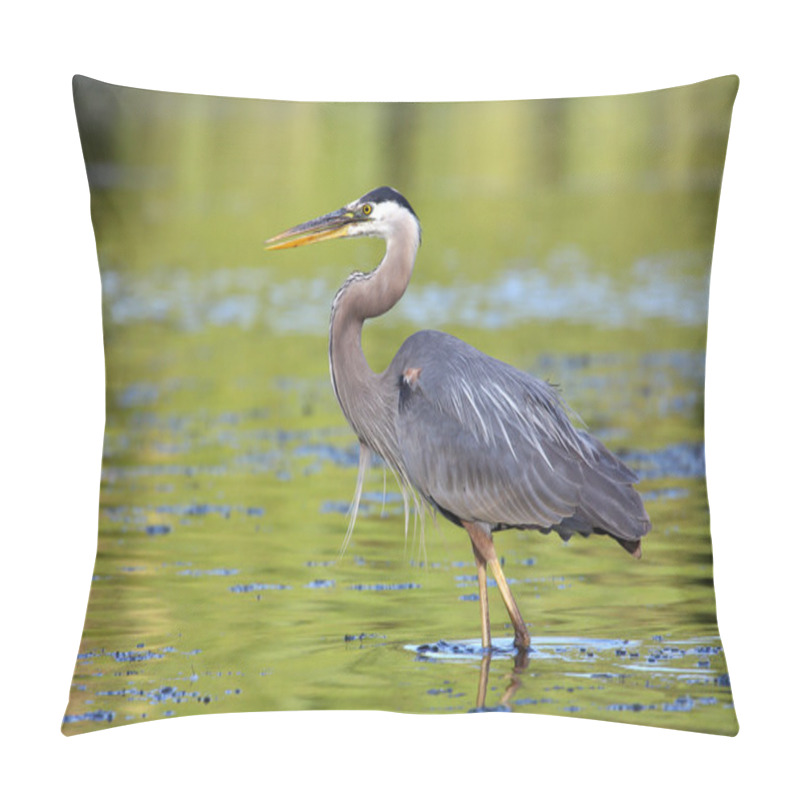 Personality  Great Blue Heron Fishing Pillow Covers