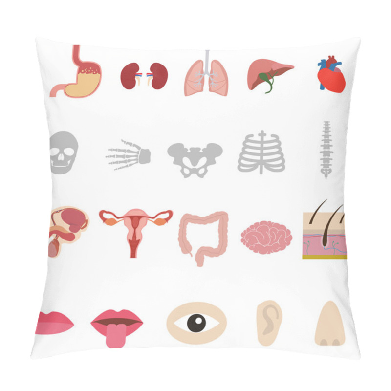 Personality  Human Anatomy Body Icons Set Pillow Covers