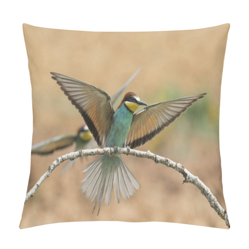 Personality  European Bee-eater, (Merops Apiaster), Outdoors, In Action In Its Natural Habitat. Spain Pillow Covers