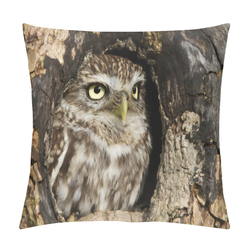 Personality  Little Owl Standing In A Hole In An Old Tree Trunk Pillow Covers