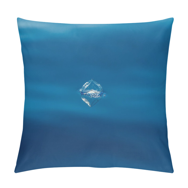 Personality  Velella Jellyfish On Deep Blue Sea Back Pillow Covers