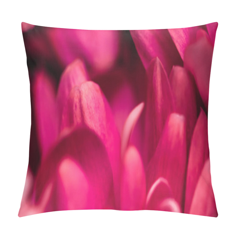 Personality  Red Daisy Flower Petals In Bloom, Abstract Floral Blossom Art Ba Pillow Covers