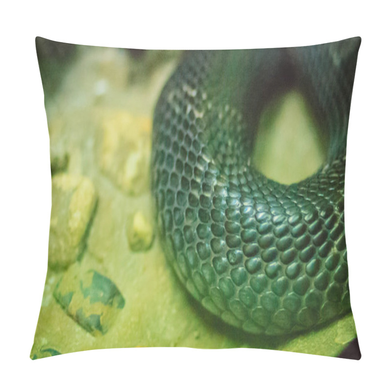 Personality  The Monocled Cobra (Naja Kaouthia), Also Called Monocellate Cobra, Is A Cobra Species Widespread Across South And Southeast Asia. Pillow Covers