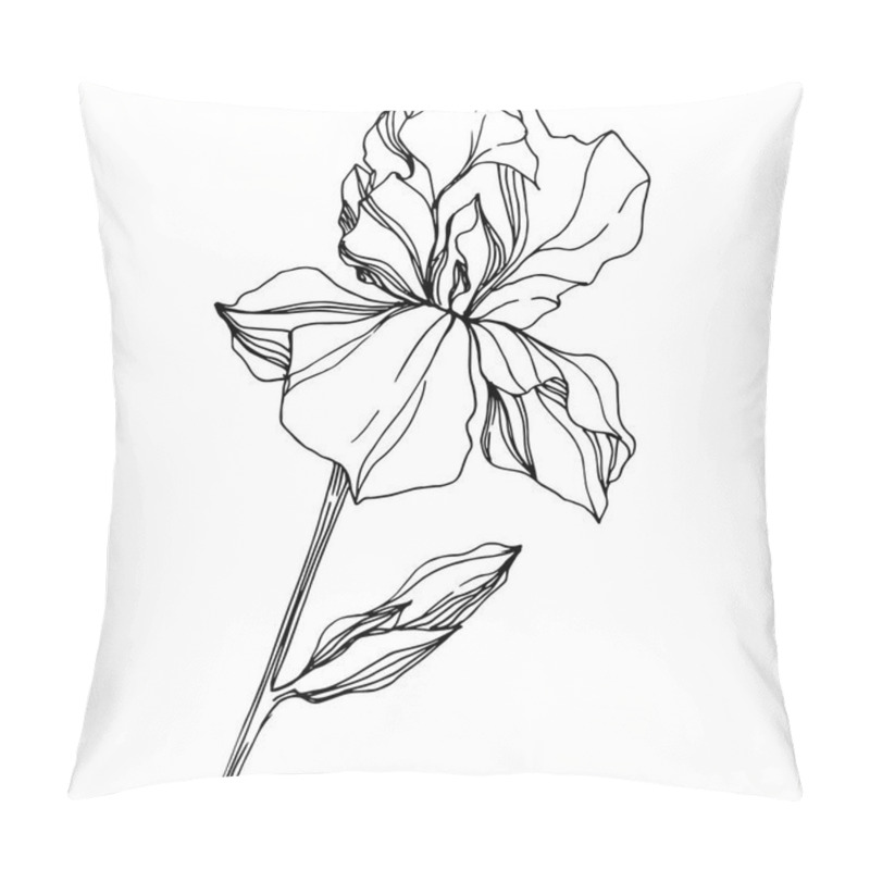 Personality  Vector Iris Floral Botanical Flower. Wild Spring Leaf Wildflower Isolated. Black And White Engraved Ink Art. Isolated Iris Illustration Element On White Background. Pillow Covers