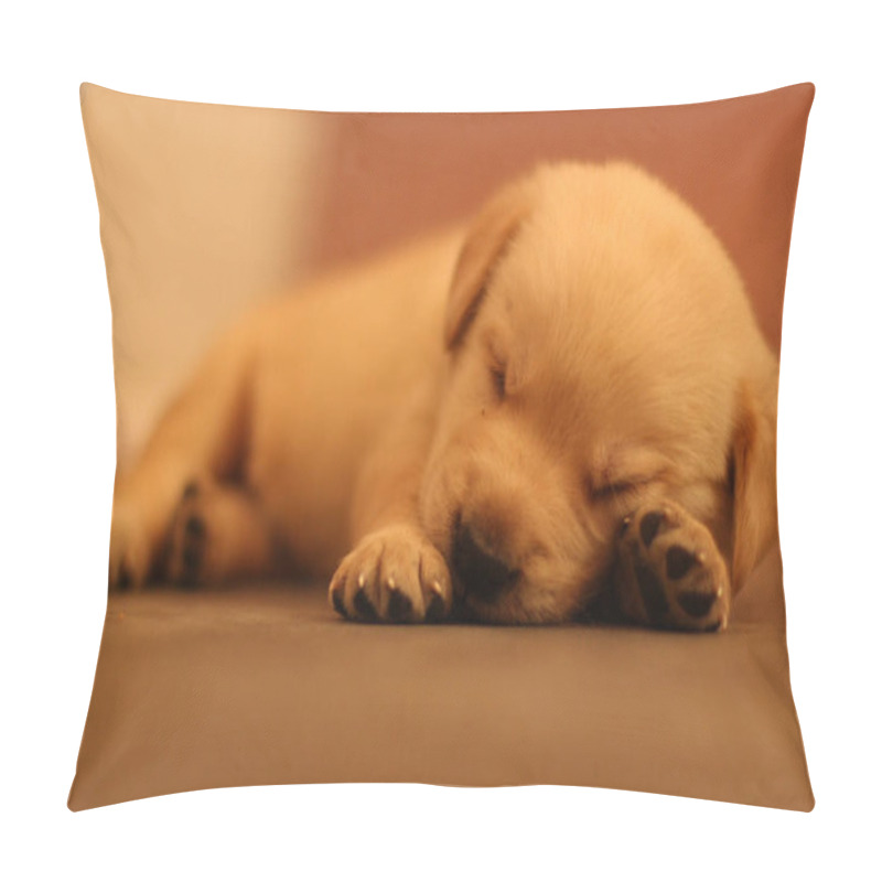 Personality  Adorable Golden Retriever Puppy Peacefully Sleeping On A Soft Surface, Close-up Of Tiny Paws And Serene Face. Perfect For Pet-related Designs, Blogs, Or Ads. Warm Tones Create A Cozy, Heartfelt Mood. Pillow Covers