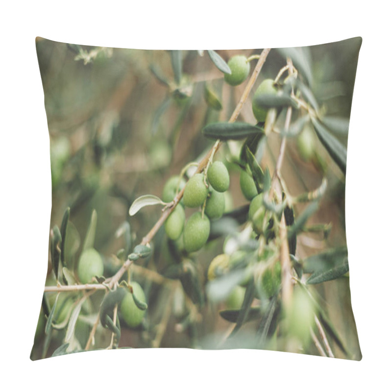 Personality  Selective Focus Of Green Olives Growing On Tree  Pillow Covers