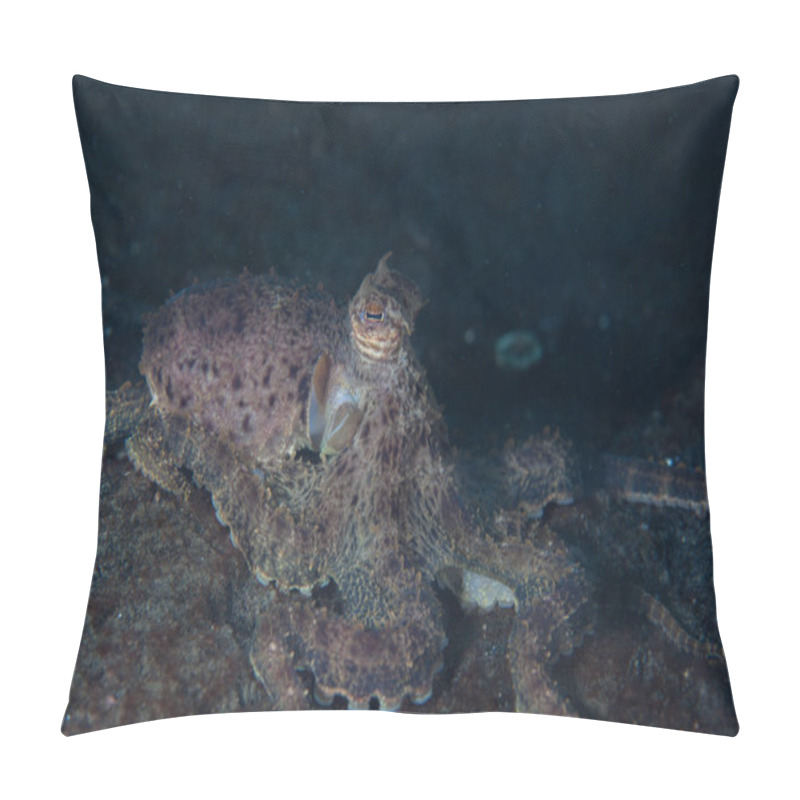 Personality  Mimic Octopus Camouflaging Itself Pillow Covers