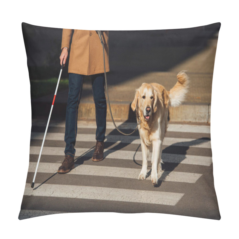 Personality  Cropped View Of Blind Man With Stick And Guide Dog Walking On Crosswalk Pillow Covers