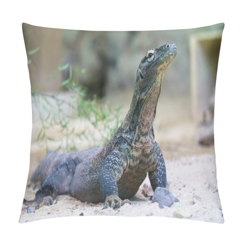 Personality  Komodo Dragon At Ground Pillow Covers