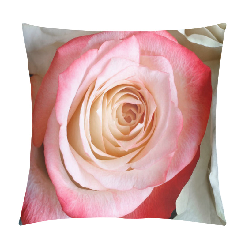 Personality  Middle Of The Flower A Beautiful Rose Closeup. Pillow Covers