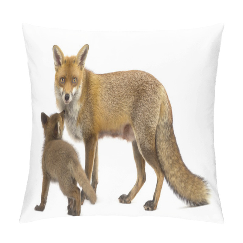 Personality  Mother Fox With Her Cub (7 Weeks Old) In Front Of A White Backgr Pillow Covers