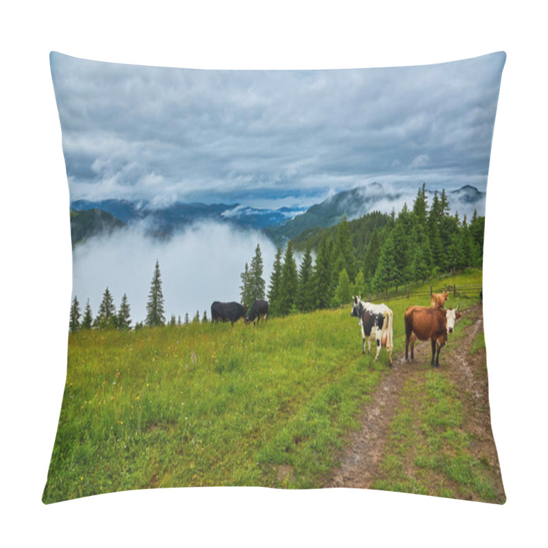 Personality  Cows Graze In A Meadow In The Fog, Carpathian Cows In Ukraine, Mountain Cows Graze In The Fog With A Bell. Pillow Covers