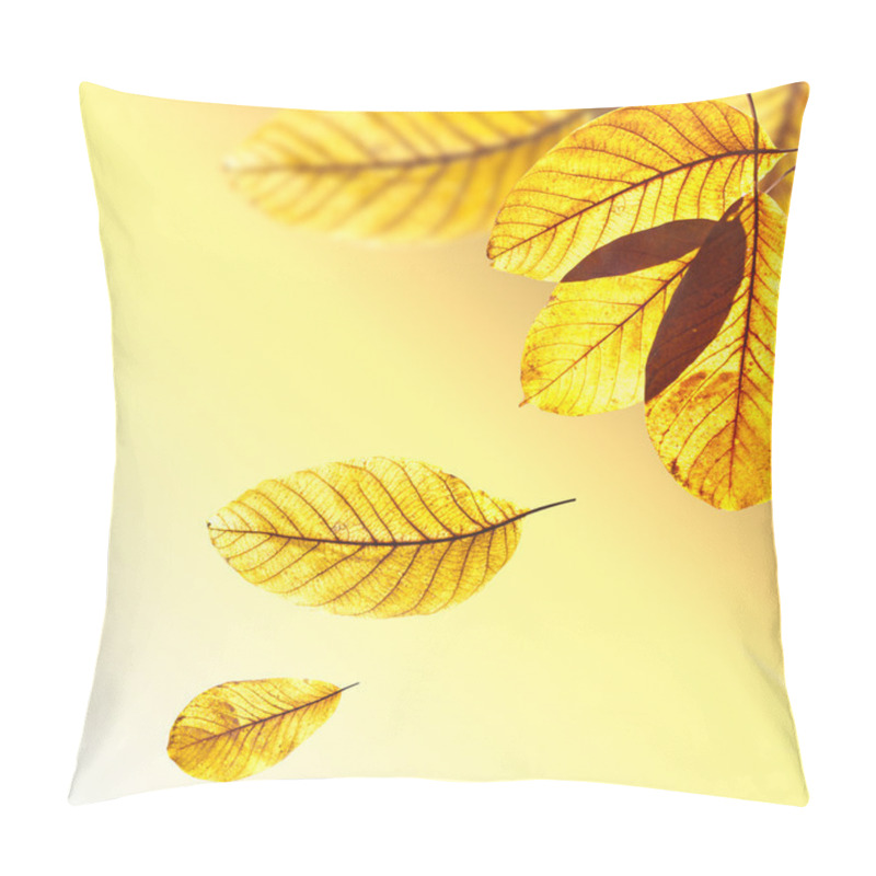 Personality  Beautiful Golden Leaves Of Walnut Tree In Warm Sunbeam. Autumn P Pillow Covers