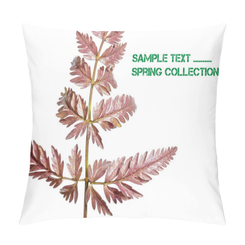 Personality  Young Flowerses Against White Background Pillow Covers