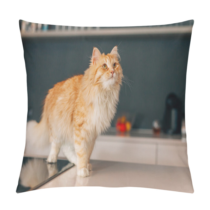 Personality  Ginger Big Cat Walking On A White Kitchen Table.  Pillow Covers