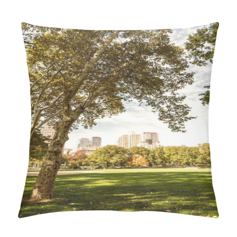 Personality  New York In Autumn Season Pillow Covers