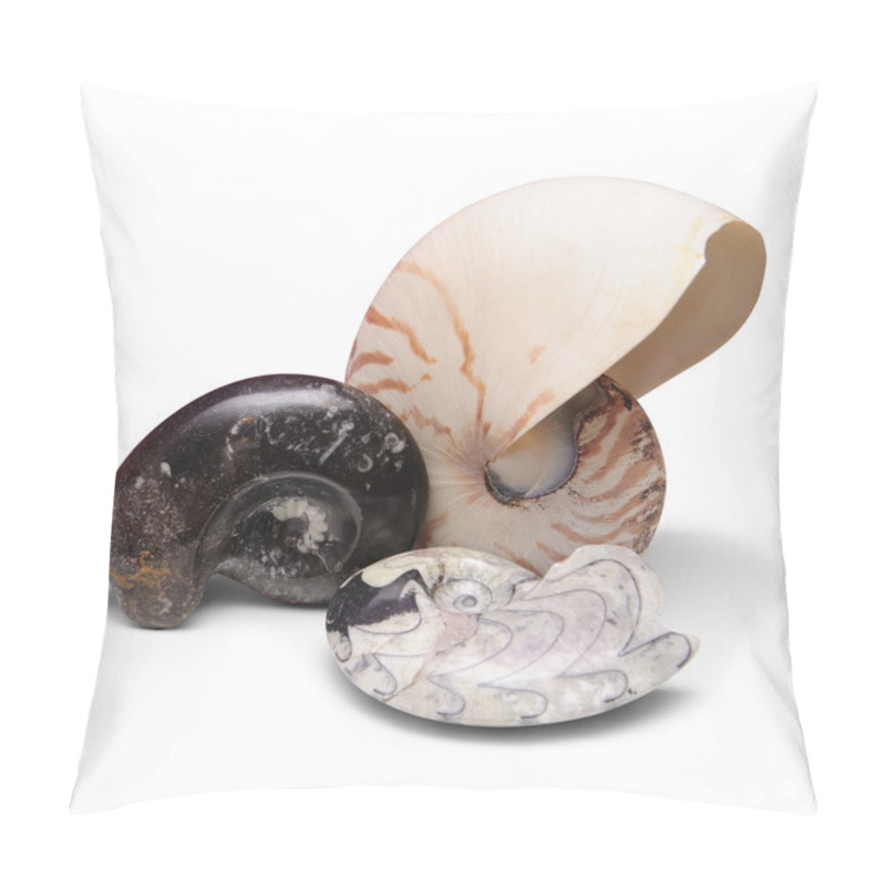 Personality  Ammonite fossils and nautilus shell pillow covers