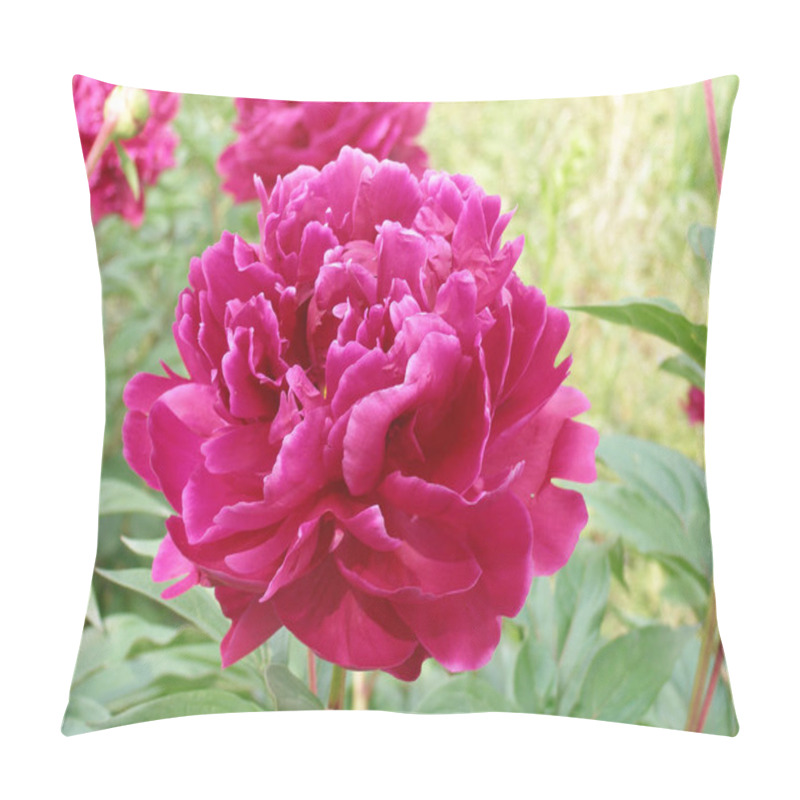 Personality  Raspberry Peony Blooms In The Garden Pillow Covers