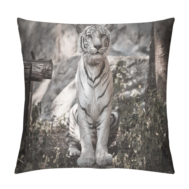 Personality  White Tiger Animal Pillow Covers