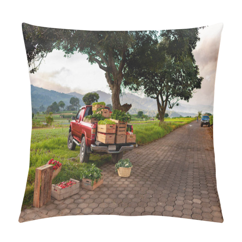 Personality  Fresh Vegetables On Red Pickup Truck. Pillow Covers