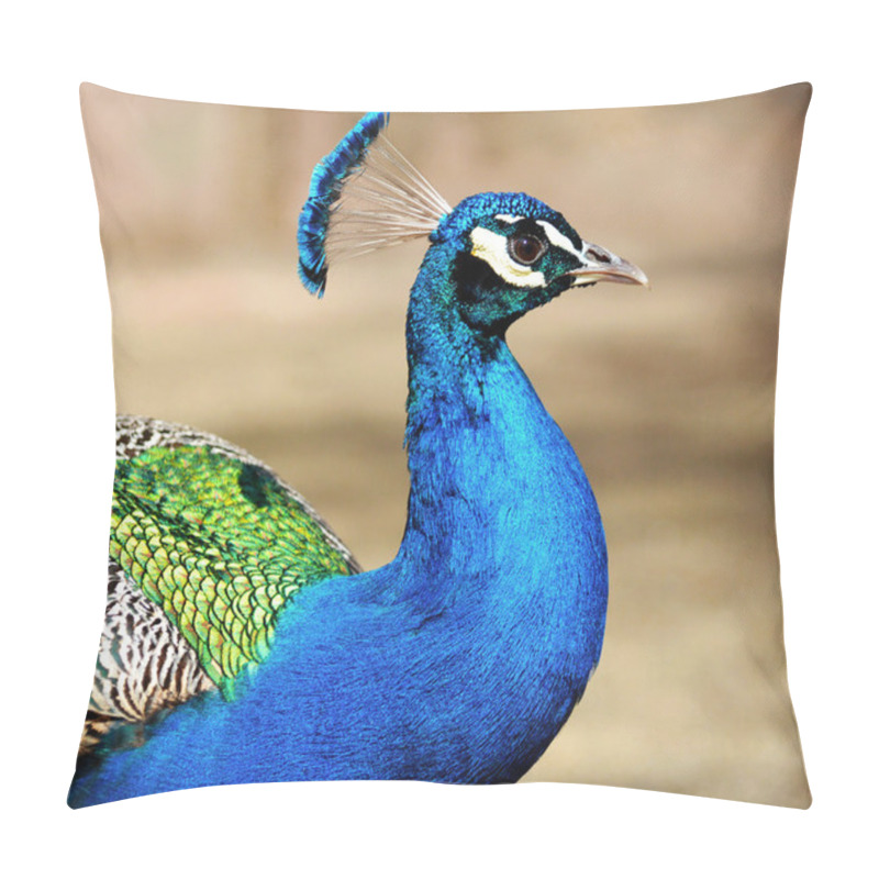 Personality  Peacock Pillow Covers