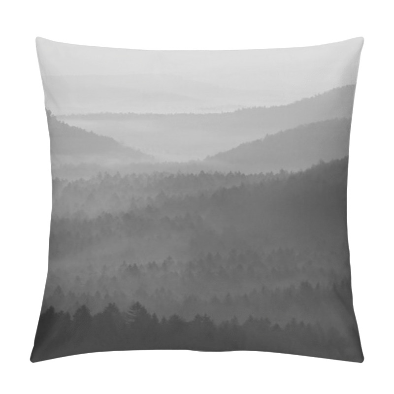 Personality  View Into Deep Misty Valley In German National Park. Trees Hidden In Foggy Gulch. Black And White Picture Pillow Covers