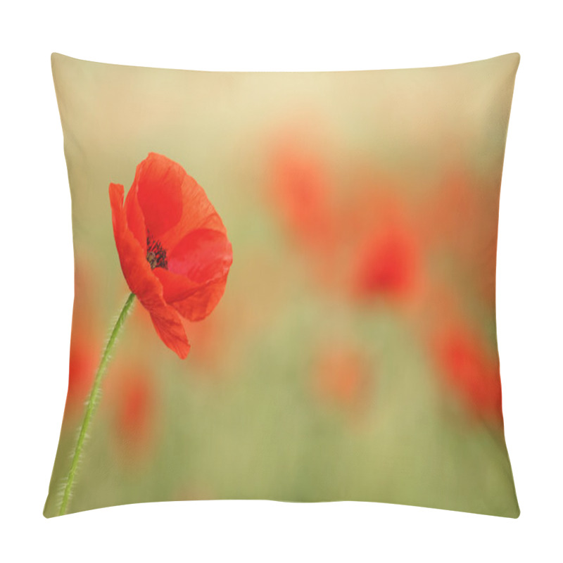 Personality  Red Poppy (Papaver Rhoeas). Pillow Covers