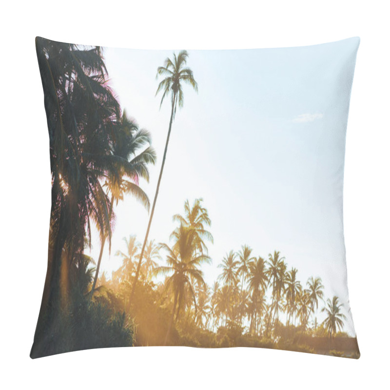 Personality  A Stunning View Of Tropical Palm Trees Silhouetted Against The Warm, Golden Glow Of Sunrise. The Sun S Rays Filter Through The Dense Foliage, Creating A Serene And Peaceful Atmosphere. The Clear Sky Pillow Covers