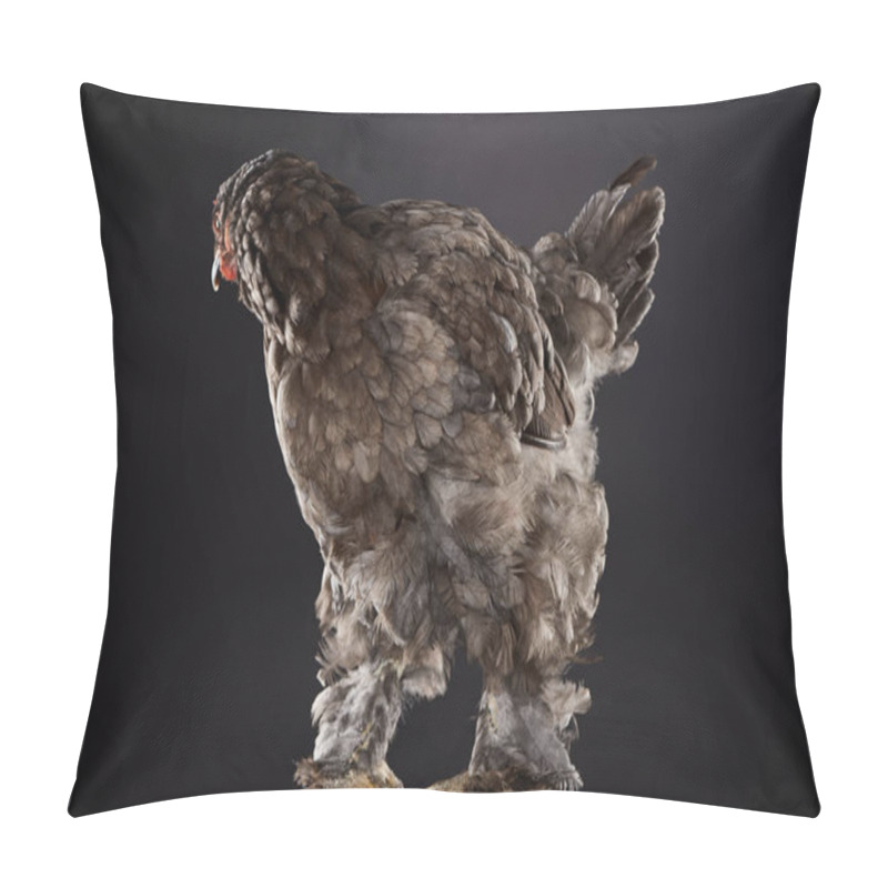 Personality  Purebred Hen With Brown Feathers Standing On Dark Grey Pillow Covers