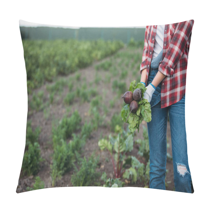 Personality  Farmer Holding Beets In Field Pillow Covers