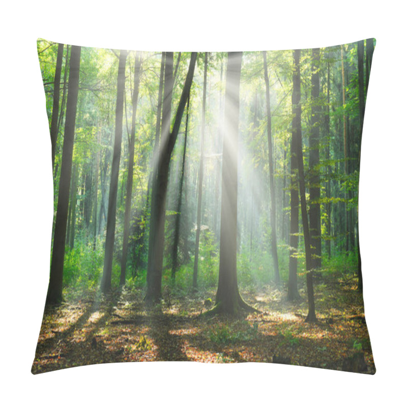 Personality  Beautiful Sunny Morning In The Green Forest Pillow Covers