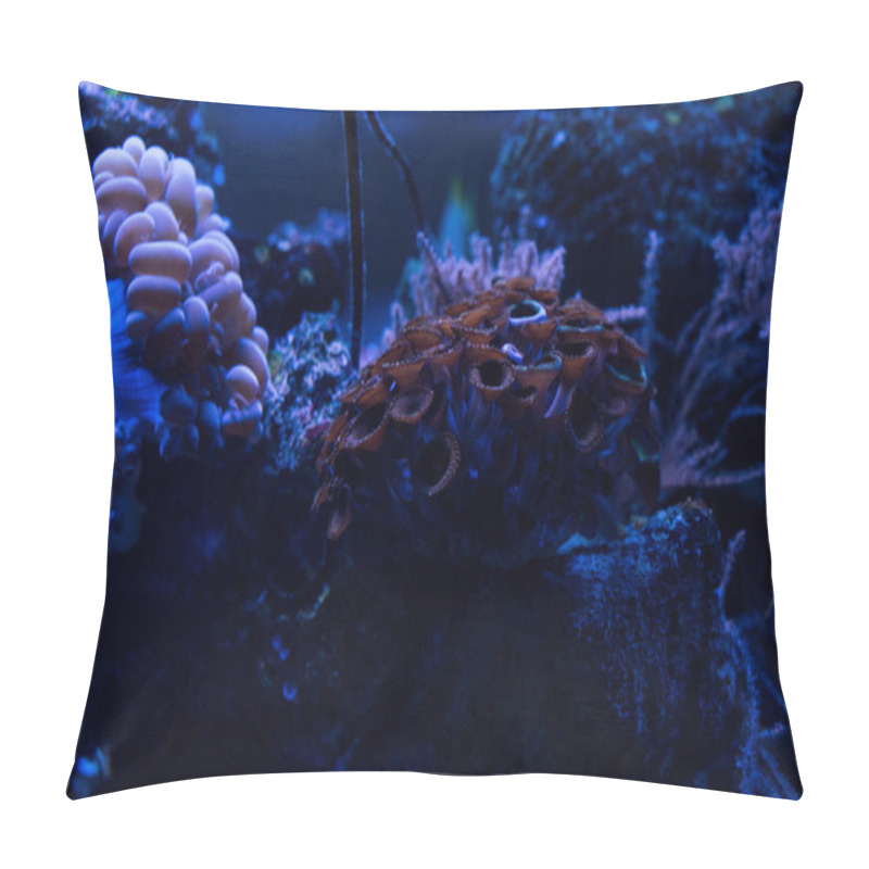 Personality  Corals Under Water In Aquarium With Blue Lighting Pillow Covers