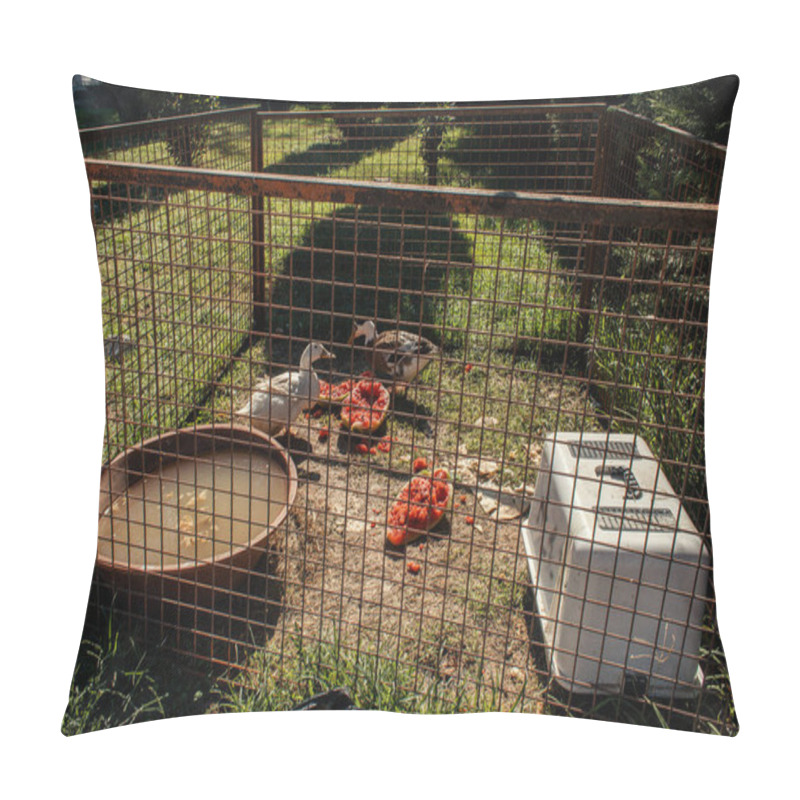 Personality  Ducks Grazing Near Watermelon In Hedge On Grass  Pillow Covers