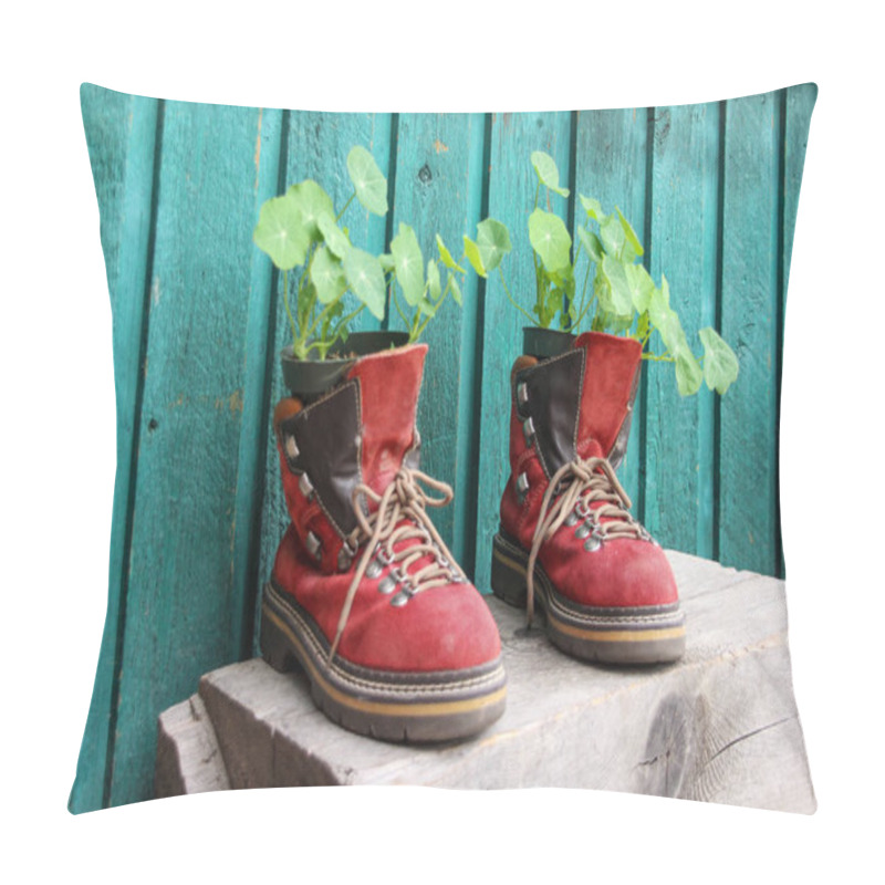 Personality  Old Red Hiking Shoes As Flower Pot Against Wooden Wall Pillow Covers