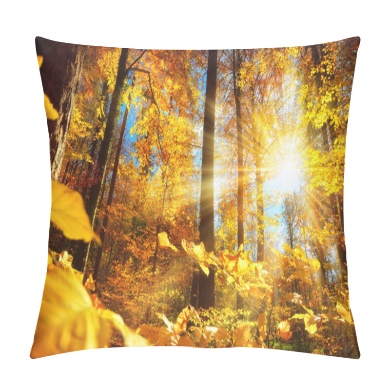 Personality  Gorgeous Autumn Sunlight In A Forest Pillow Covers