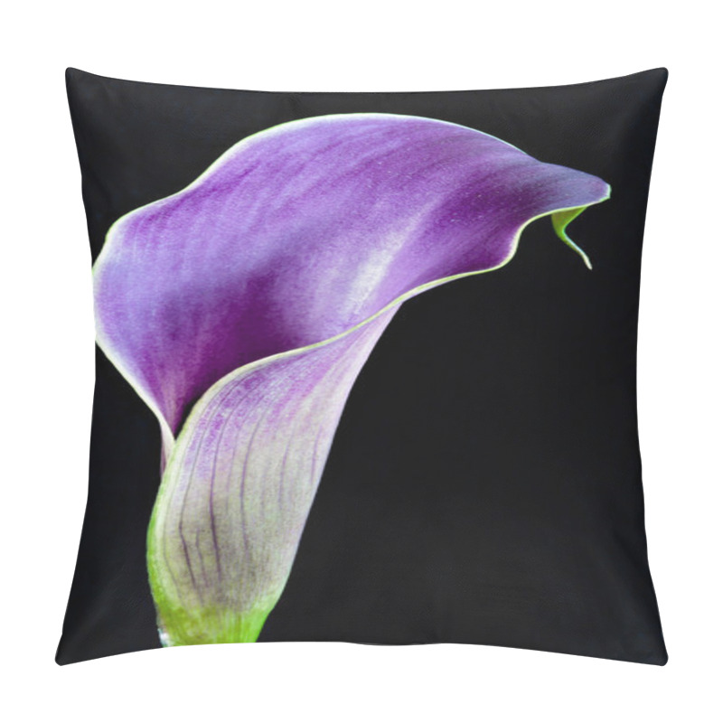 Personality  Purple Calla Lilly Pillow Covers