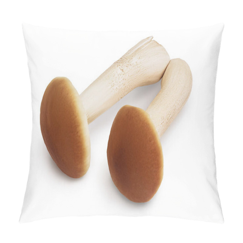 Personality  Honey Fungus Mushrooms Isolated On White Background With Clipping Path And Full Depth Of Field Pillow Covers