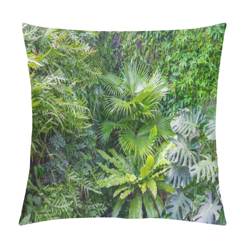 Personality  Cluster Of Various Tropical Plants, Green Leaves Layout. Nature Spring Concept Pillow Covers