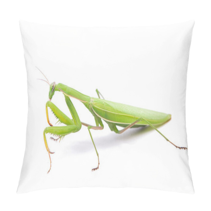 Personality  Female European Mantis Or Praying Mantis, Mantis Religiosa Pillow Covers