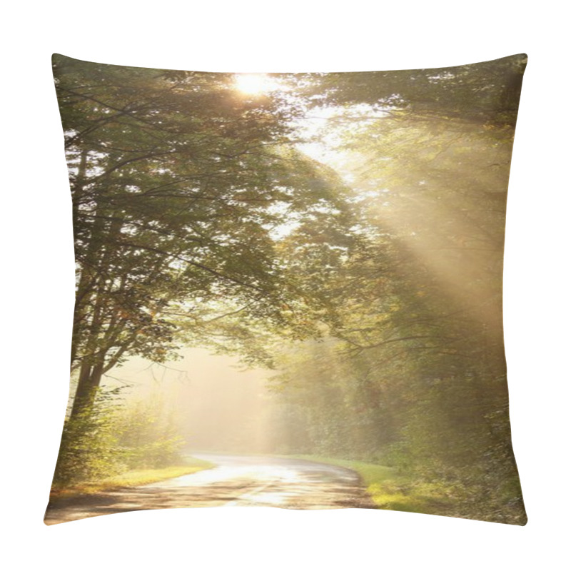 Personality  Misty Autumn Forest Road At Sunrise Pillow Covers